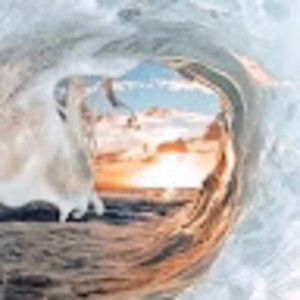 Meet your Posher, Nora